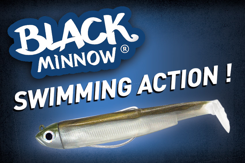 Nage du Black Minnow – Swimming Action