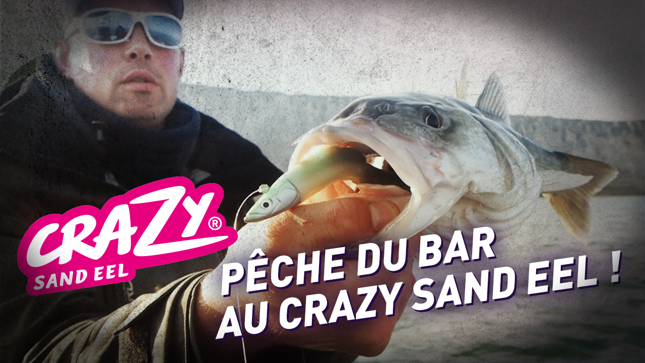 Pêche du bar en Normandie au Crazy Sand Eel