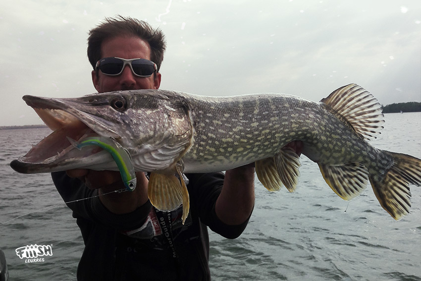 Vidéo / Quels leurres pour pêcher le Brochet en début de saison