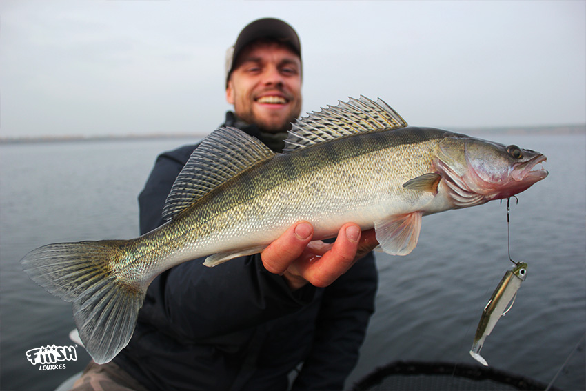 Marvin / Autumn zander fishing