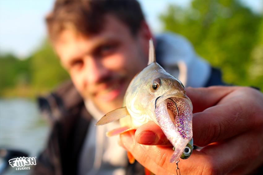 FISH goes CRAZY over this lure! Perch & zander fishing with