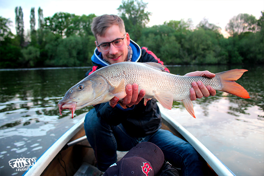 About once a year I figure out how to catch a decent fish