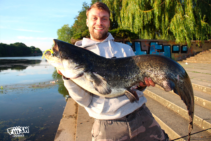 Antonius / Catfish with the Blaster Shad, Fiiish