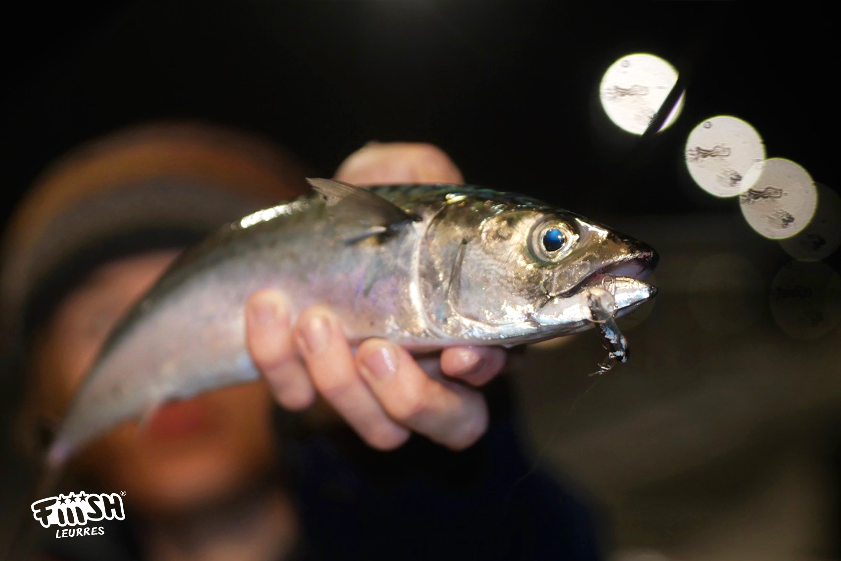 Antonius / Mackerel and Herring on Power Tail